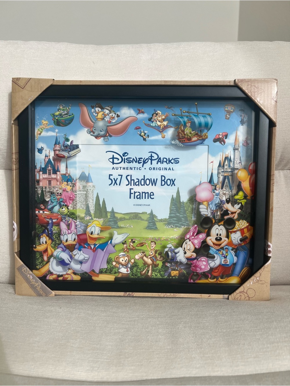 Disney Parks 5x7 Shadow Box Frame - Black